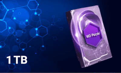 هارد وسترن دیجیتال بنفش 1TB